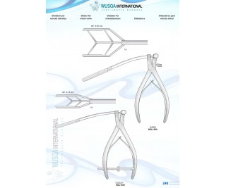 Dilator for Mitral Valve